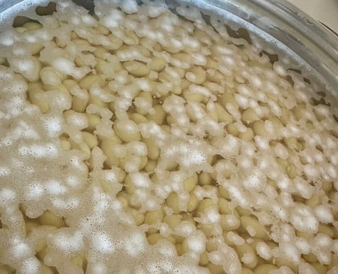大豆をふやかし味噌作り
